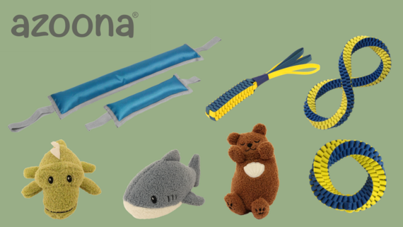 Extranet-Beitrag Neuheiten azoona 2025-11-13 